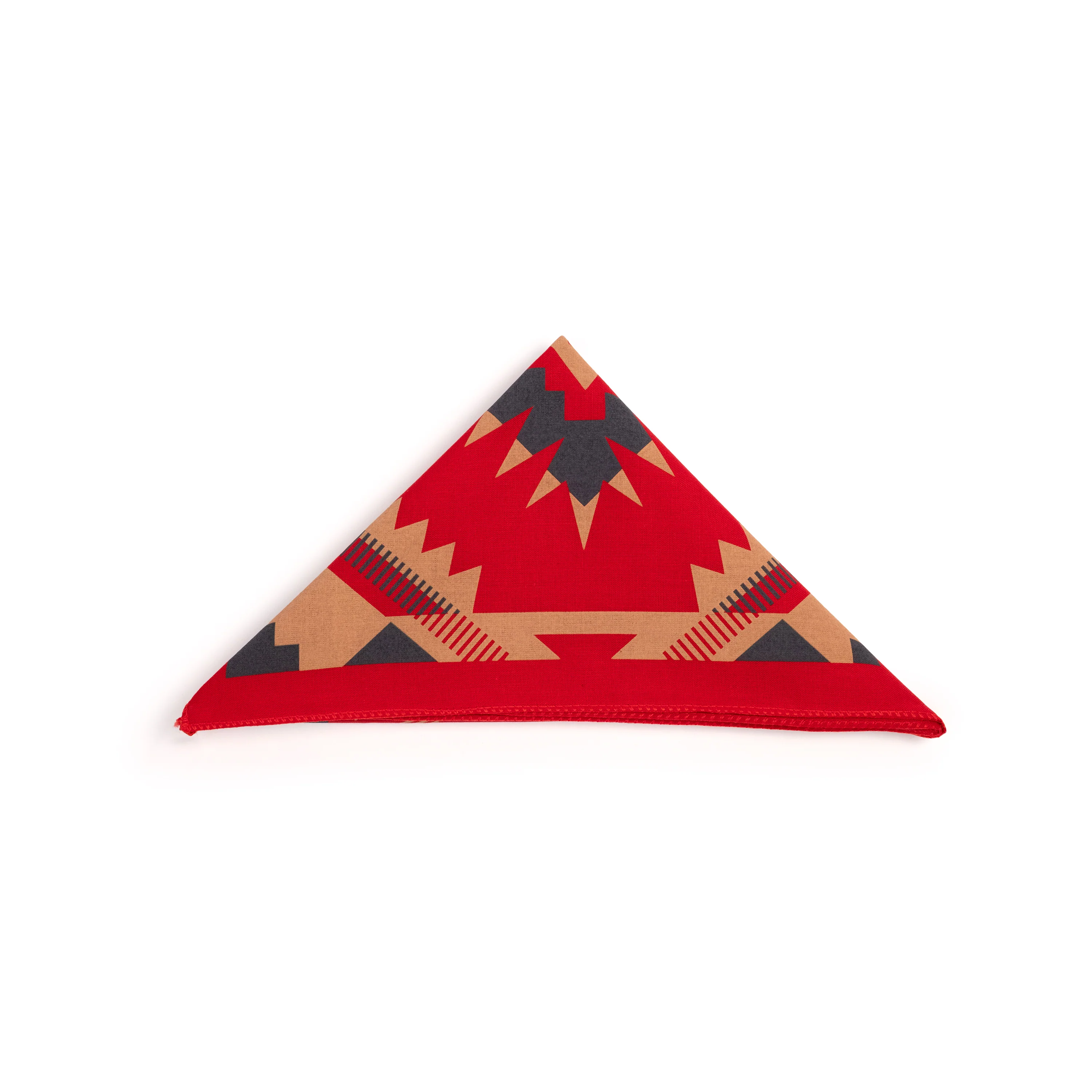 Topo Designs x Pine Printshop Bandana - Image 3
